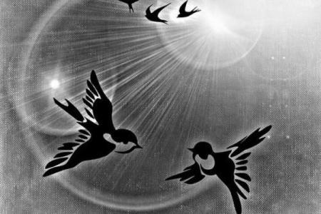 梦见算命说我身体不好