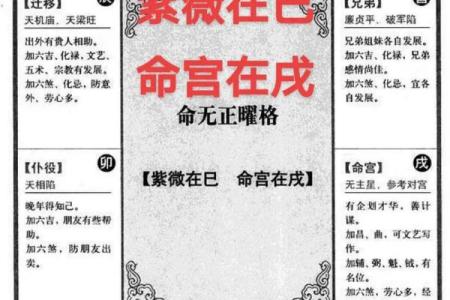 紫微斗数之四化论断法详释：命盘六条线