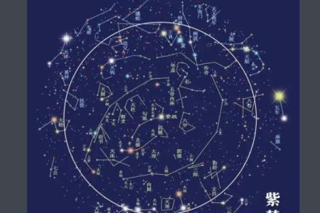 紫薇斗数重逢