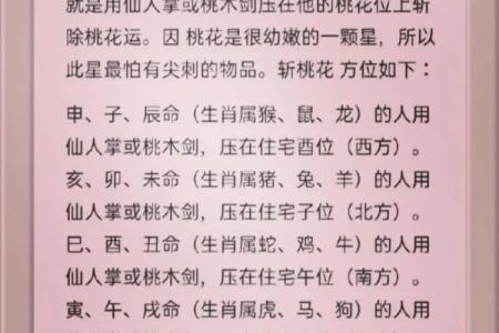 算命的说我烂桃花特别多  算命说的烂桃花是什么意思