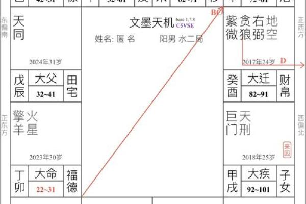 紫薇斗数定盘软件
