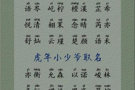 虎年女孩名字顺口好听的 新生儿起名字女孩生辰八字起名免费