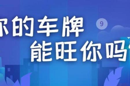 车辆号码吉凶紫薇