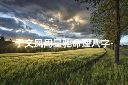 周星驰八字命理