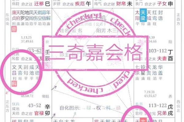 紫薇斗数可以看什么 紫薇斗数可以看什么