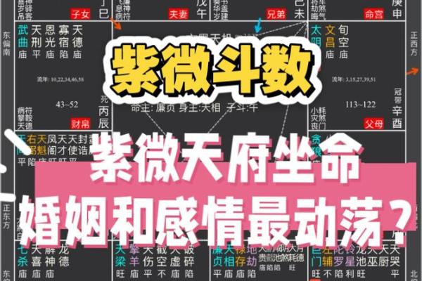 紫薇斗数紫府 紫薇斗数紫府