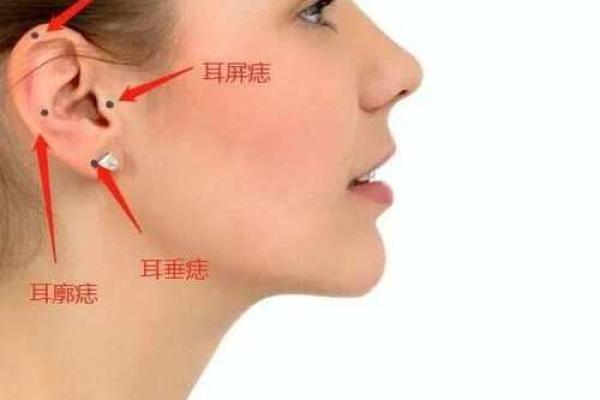 风水面相耳朵垂大的人代表有福气吗 风水面相耳朵垂大的人代表有福气吗