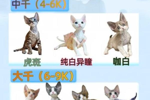 姓名配对测试免费测试游戏 姓名配对测试免费测试入口? 姓名配对测试免费测试游戏 姓名配对测试免费测试入口?