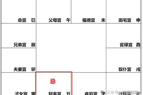 紫薇旺落疾厄宫 紫薇旺落疾厄宫