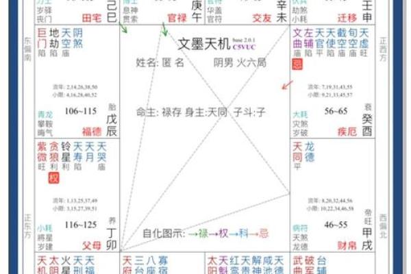 紫薇斗数入门看什么书
