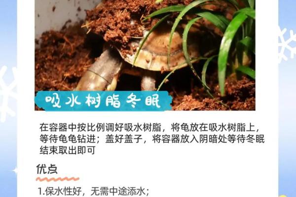 养龟风水_为什么卧室里面不能养乌龟 养龟风水_为什么卧室里面不能养乌龟
