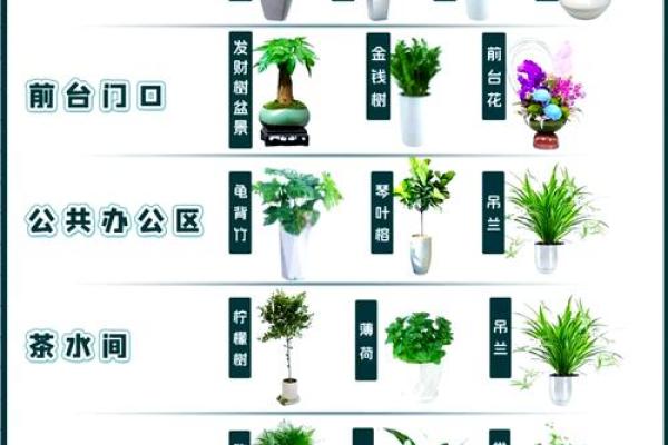 住宅树木风水布局 住宅树木风水布局