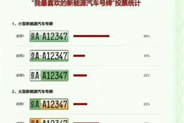 电动汽车牌照号吉凶测试