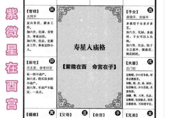 紫薇星几月出生的 紫薇星几月出生的