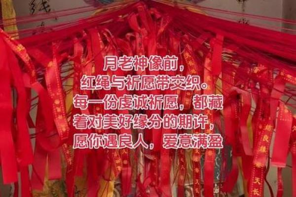 月老灵签抽鉴姻缘签 月老灵签求姻缘签? 月老灵签抽鉴姻缘签 月老灵签求姻缘签?