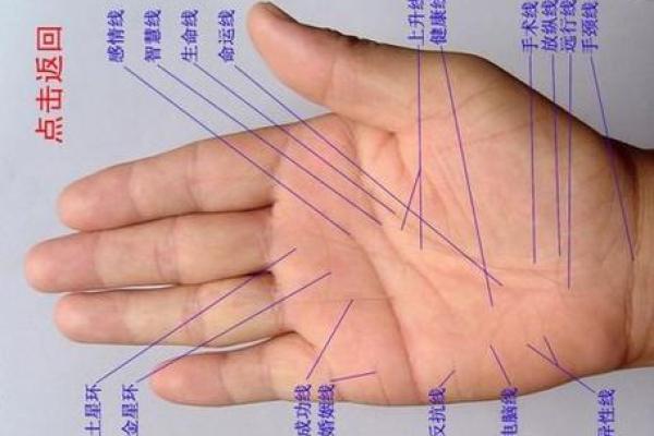 手型算命:兼型手人的性格与命运 手型算命:兼型手人的性格与命运