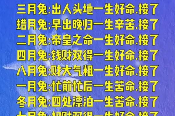 农历八字算命免费 农历八字算命免费