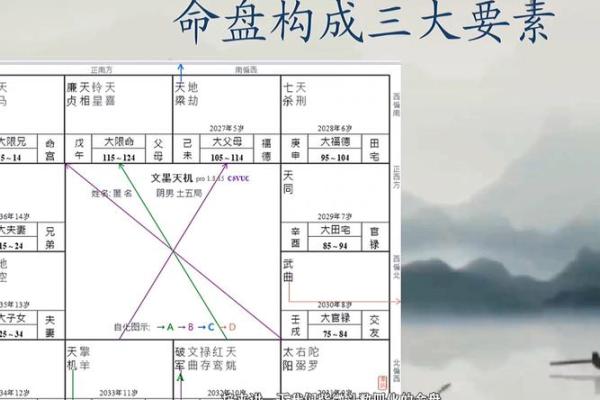 雪天紫薇斗数排盘软件 雪天紫薇斗数排盘软件