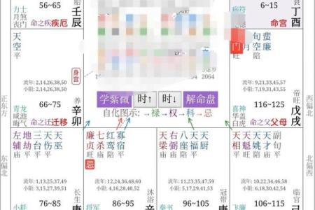 紫薇斗数查流年