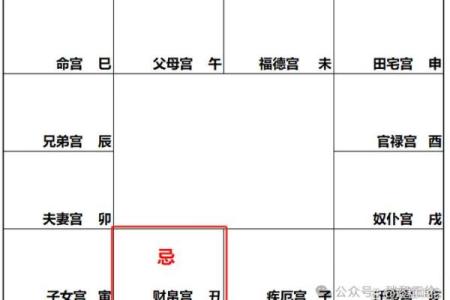 紫薇旺落疾厄宫