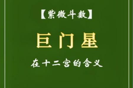 紫薇斗数文曜