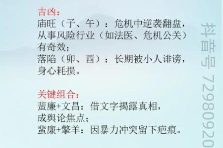 方外人河洛紫薇斗数