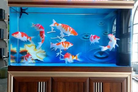 风水鱼缸_鱼缸放在床尾好吗