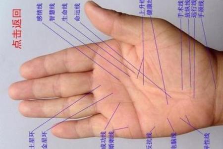 手型算命：兼型手人的性格与命运