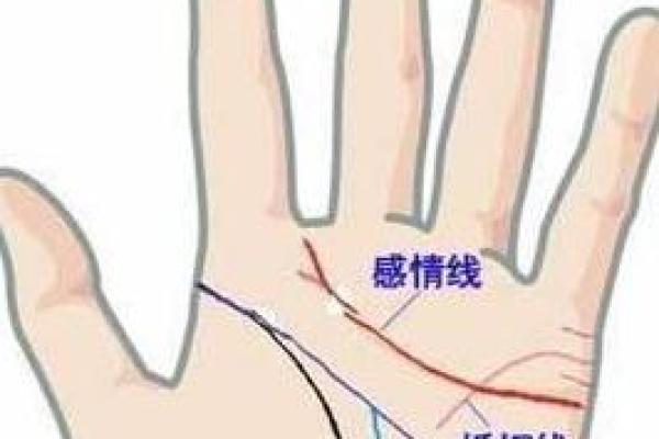 女人手相算命图解女人婚姻 婚姻线看感情生活 女人手相算命图解女人婚姻 婚姻线看感情生活