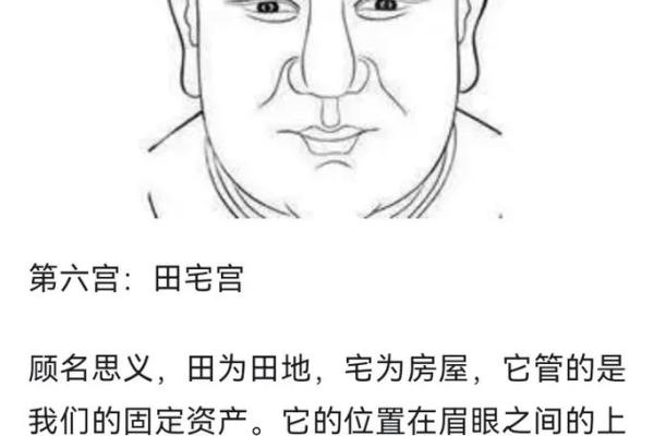 面相算命图解十二宫之:兄弟宫 面相算命图解十二宫之:兄弟宫