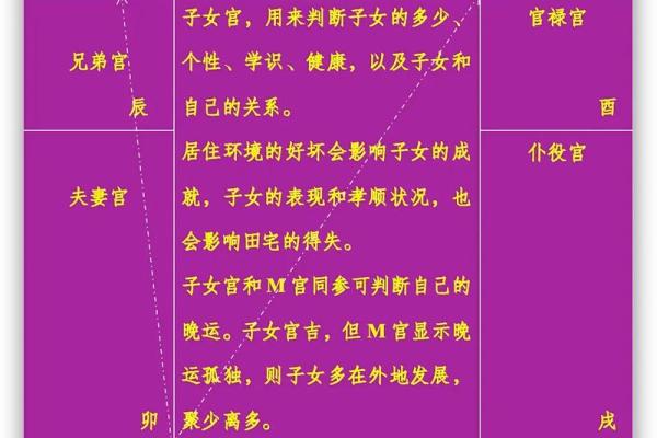 大猫紫薇斗数博客 大猫紫薇斗数博客