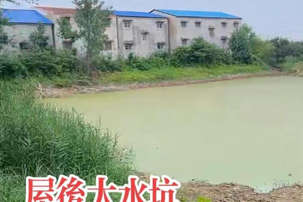 房子下面修蓄水池风水好不 房子下面修蓄水池风水好不