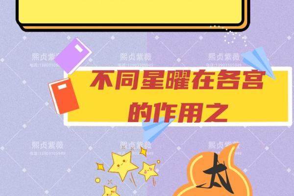 天虚紫薇斗数 天虚紫薇斗数