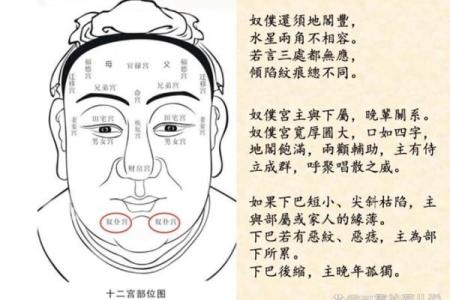 面相风水_更好看的风水小说