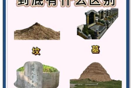 墓地怎样看阴宅风水发富还是发贵