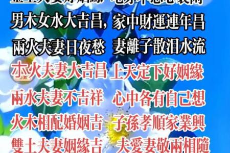 女命的八字分享姻缘