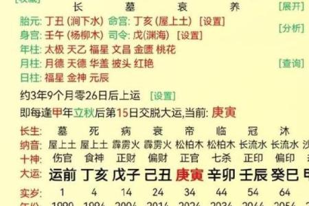 八字排盘详解，丁卯戊申乙卯乙酉命理解析