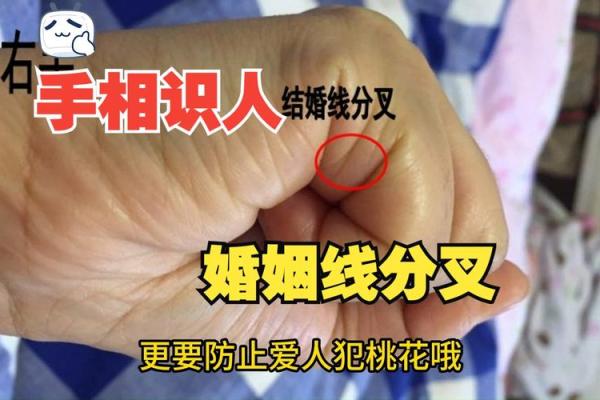 看手相算命:第二课 婚姻感情 看手相算命:第二课 婚姻感情
