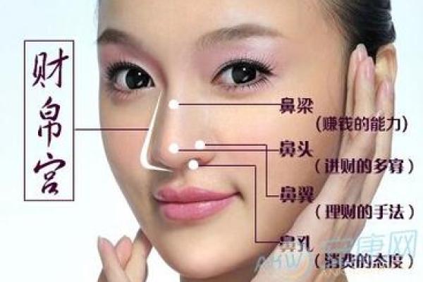 面相算命鼻子 面相算命鼻子