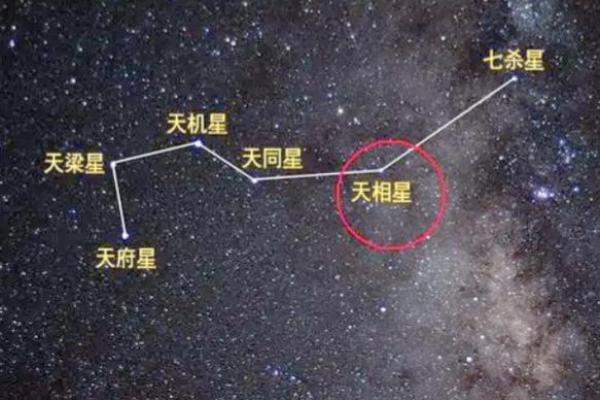 预言紫薇星 预言紫薇星