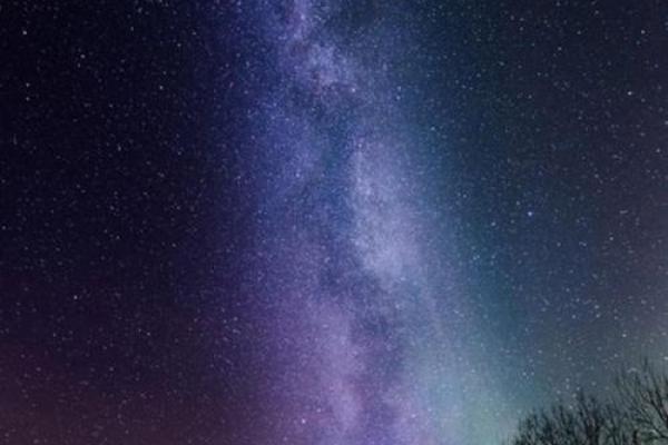 预言紫薇星 预言紫薇星