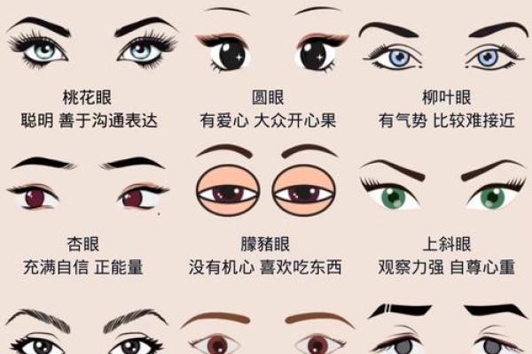 八字眉头的面相图解 八字眉头的面相图解