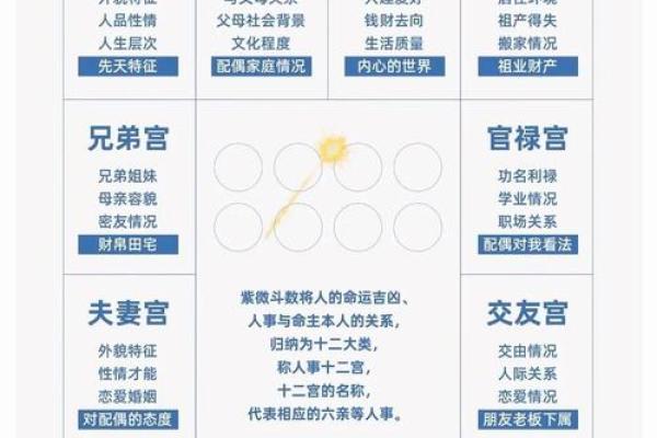 紫微斗数父母宫详解,紫微斗数中父母宫什么意思