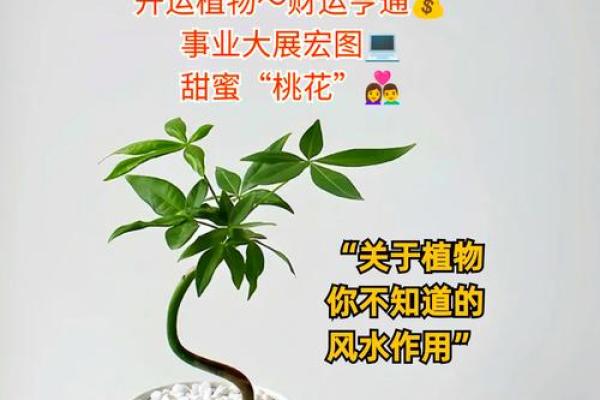 风水财运,用风水秘诀如何旺财 风水财运,用风水秘诀如何旺财