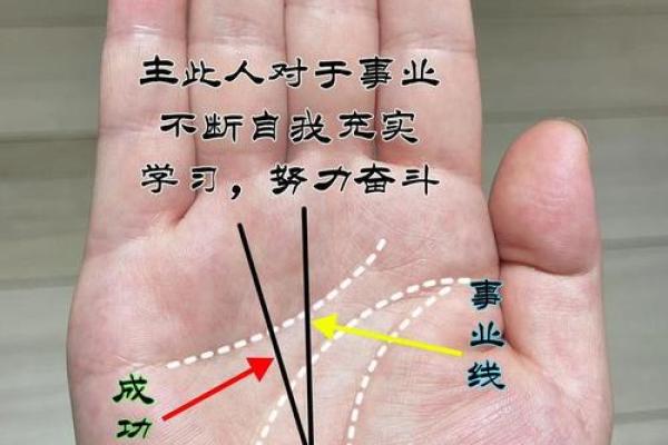 手相算命,女人手相成功线图解