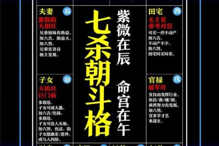 双人紫薇斗数在线合盘