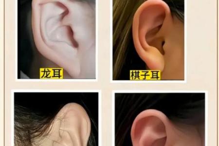 风水天生耳朵小的人运势