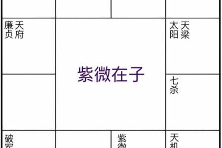 紫薇斗数怎么安天魁