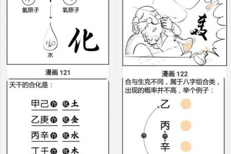 零基础学习快速算命