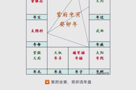 紫薇斗数入宫得位是什么意思